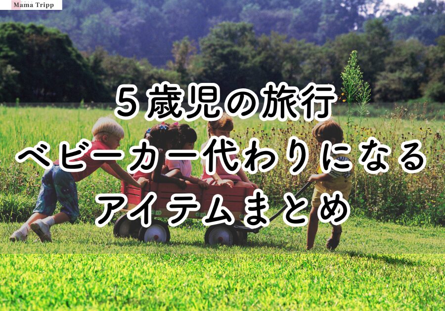 ベビーカー 大人も座れる 乗れるスーツケース 子供 乗れる キャリーケース 座れる スーツケース 片開き 機内持ち込み ストッパー付き カップホルダー ベビーカー 子ども signwhite - 通販 - Yahoo ショッピング
